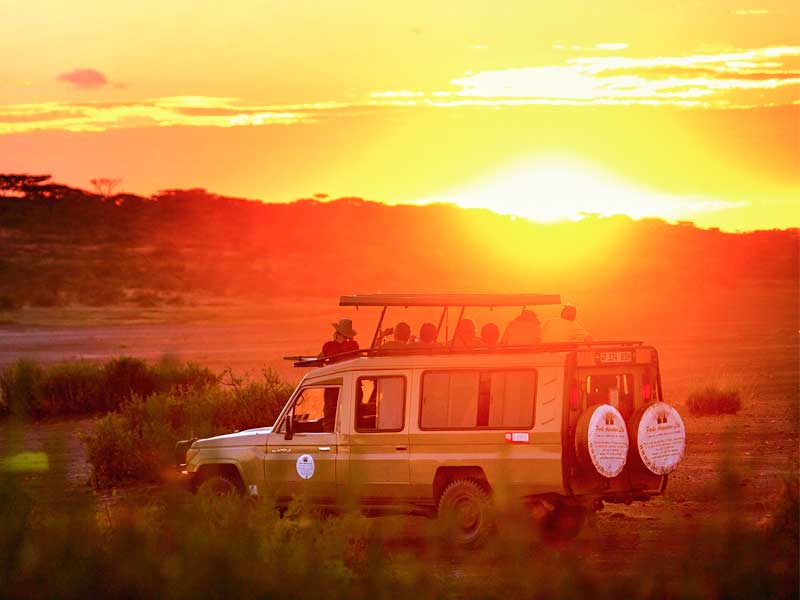 wild-excursions-and-safaris---africa-photo-safari