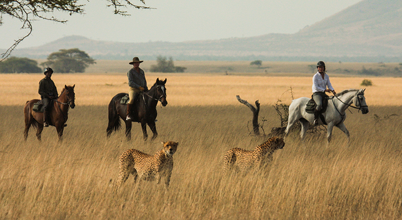 Horseback riding in Tanzania