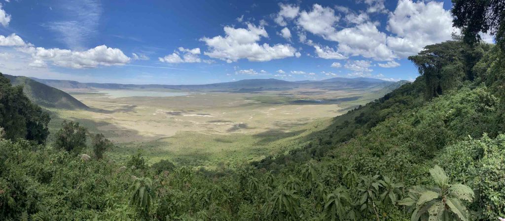 Ngorongoro Crater day trip