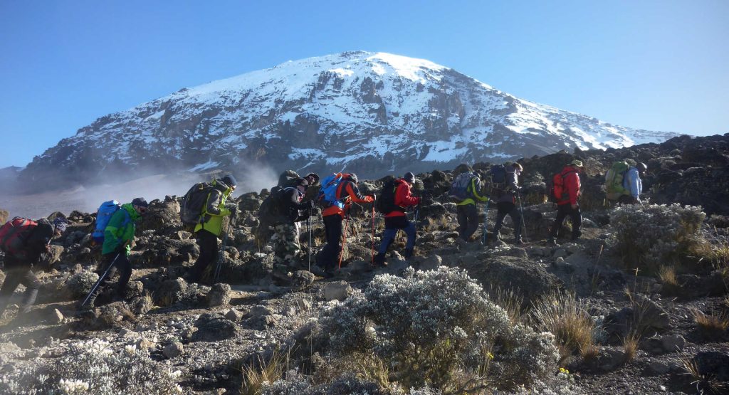 Mt. Kilimanjaro Umbwe Route