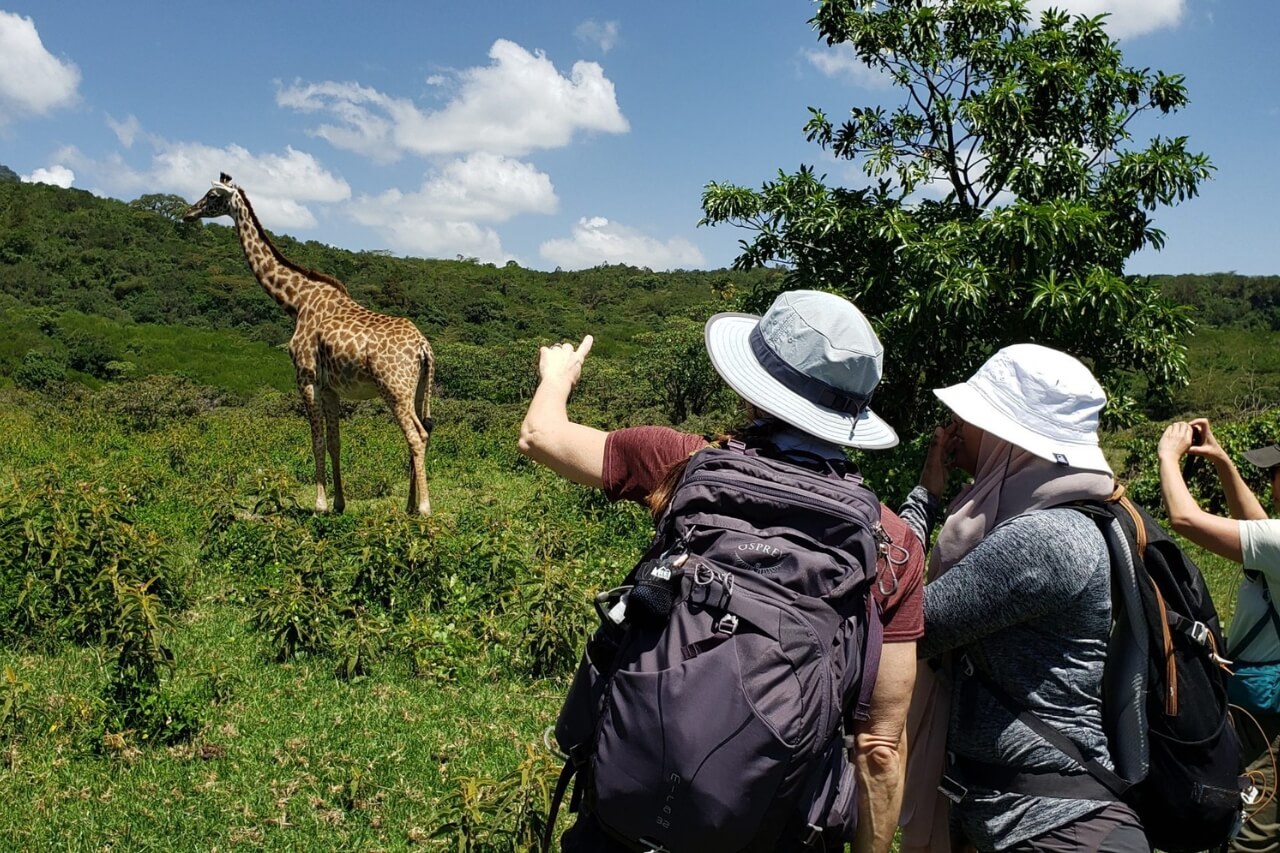 666ad36256ab1309818a4f9d_Arusha Walking Safari 2