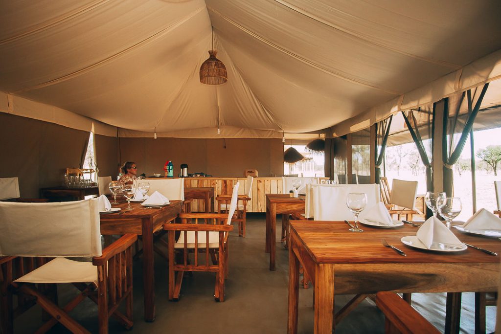 kintiki-africa-serengeti-2-1024x683-100000