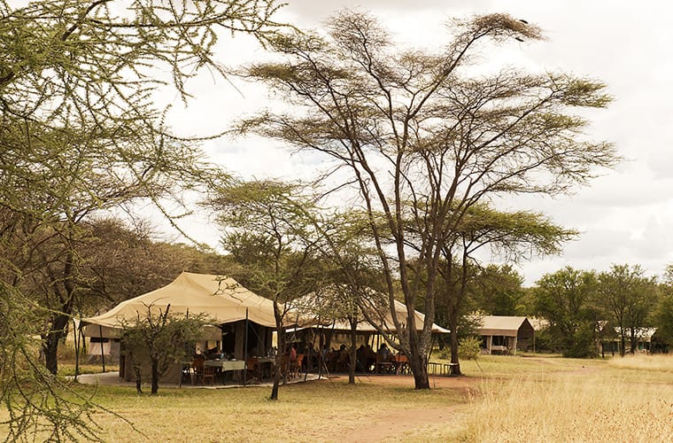 Ndutu-Kati-Kati-Tented-Camp-View