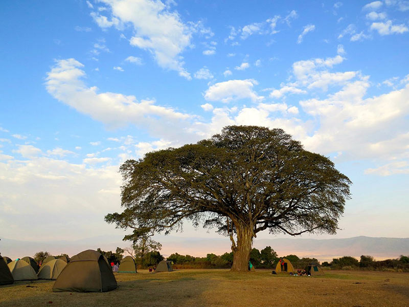 Simba Public Campsite