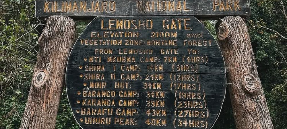 1767904725_6_mti-mkubwa-camp-mount-kilimanjaro