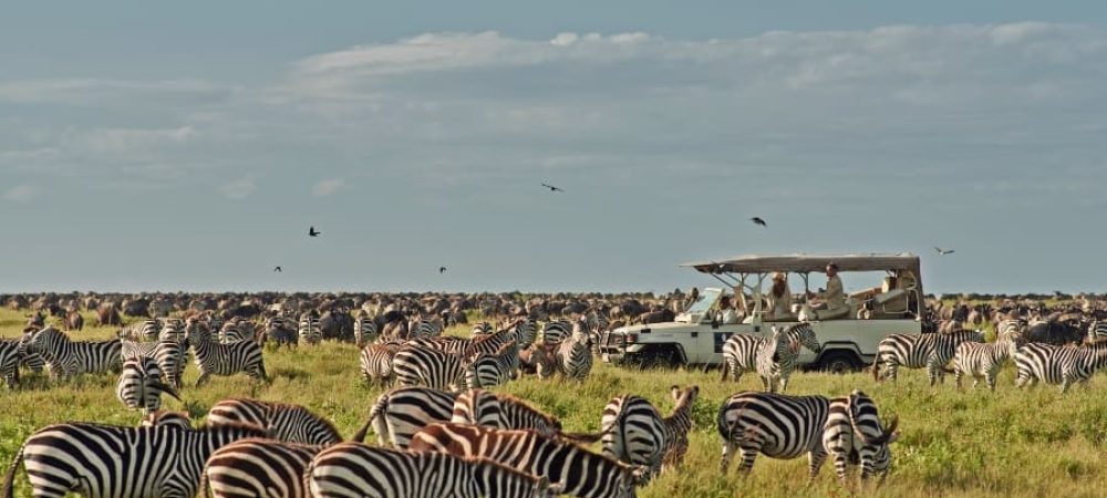 4day-luxury-serengeti-safari-03