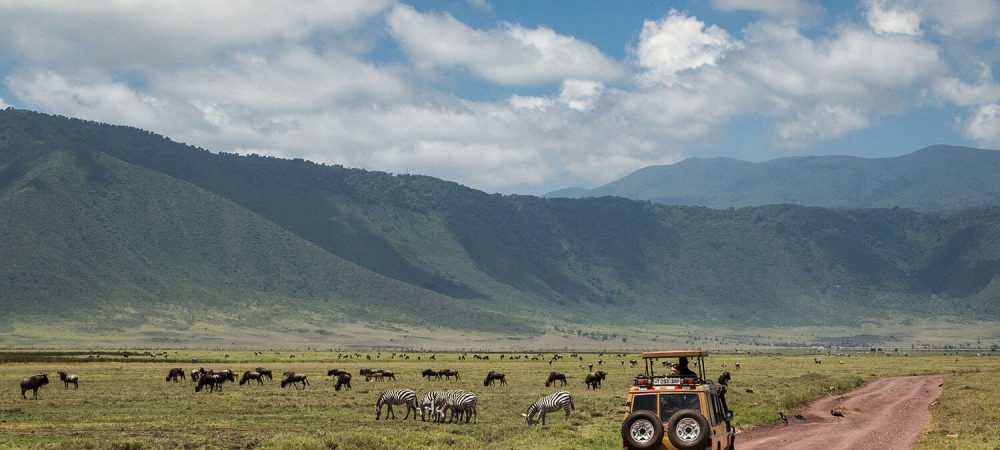 Game-drive-in-Ngorongoro