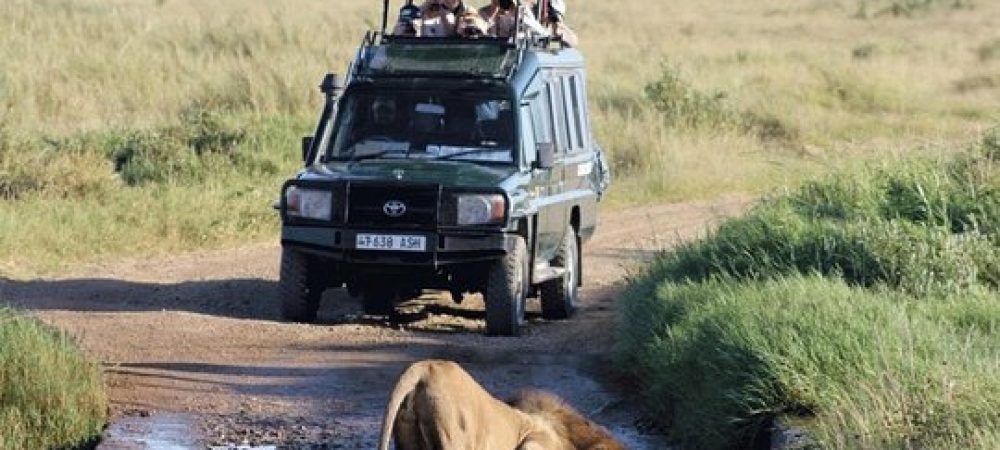 Getting-to-Akagera-National-Park