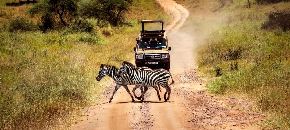 Serengeti-game-drive x 10000000