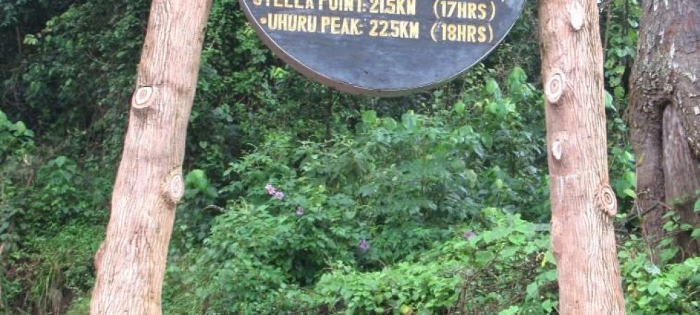 mweka-gate_8435-e1577735922979