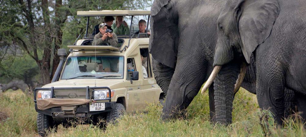 tarangire-national-park-day-trip